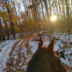 Meet your Posher, Abbie